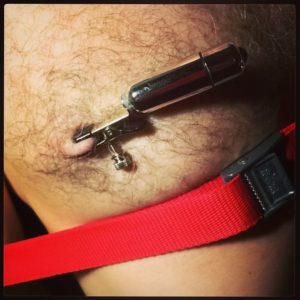 Nipple Breast Play Torture