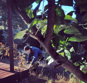 Gardening slave